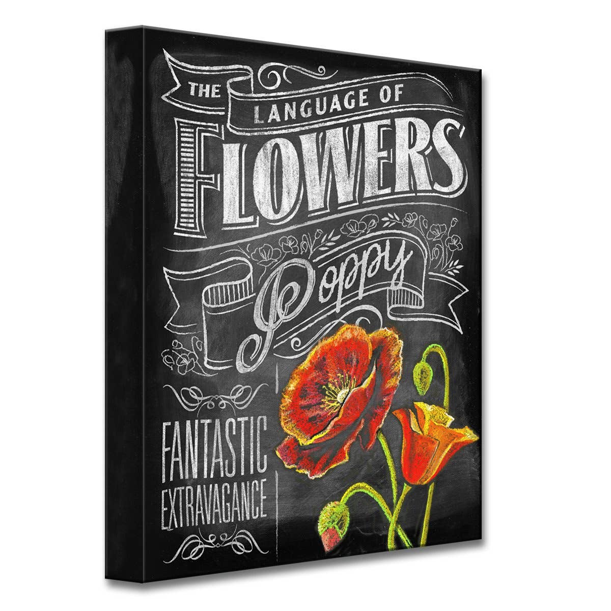 Ready2HangArt Canvas Art 'LOF - Poppies' by Dorothea Taylor: 40 in. H x 30 in. W