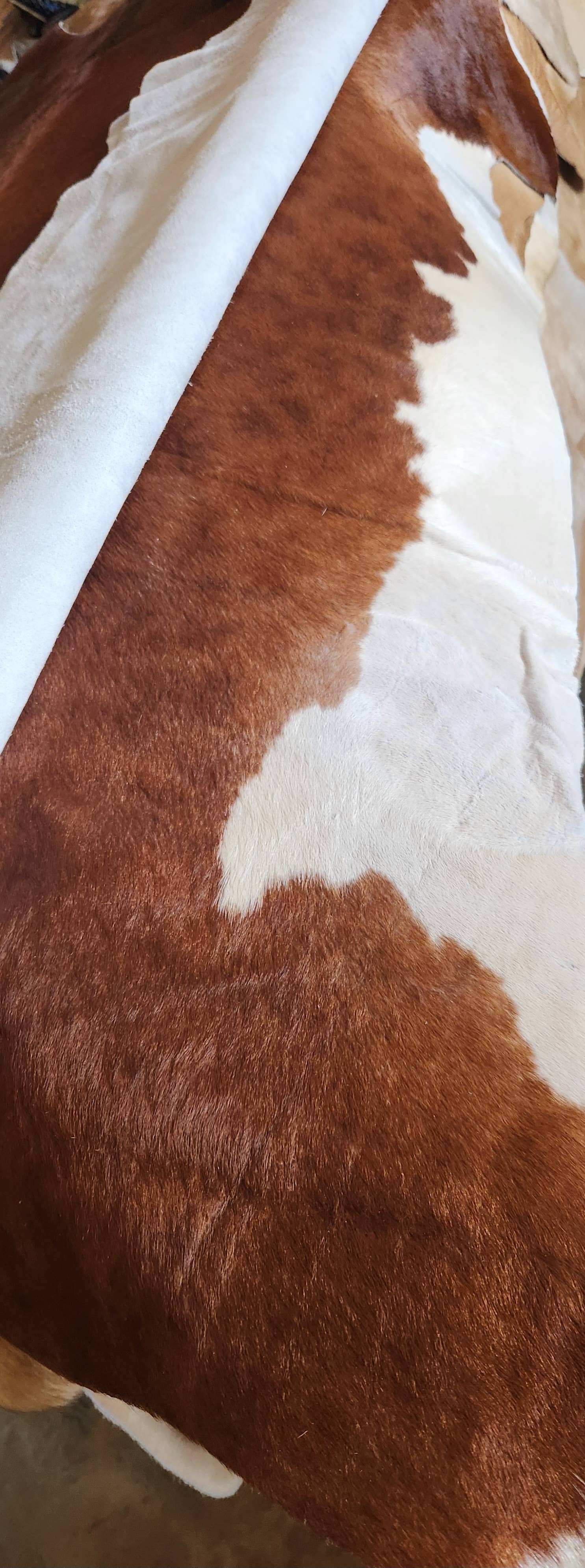 Assorted color cowhides