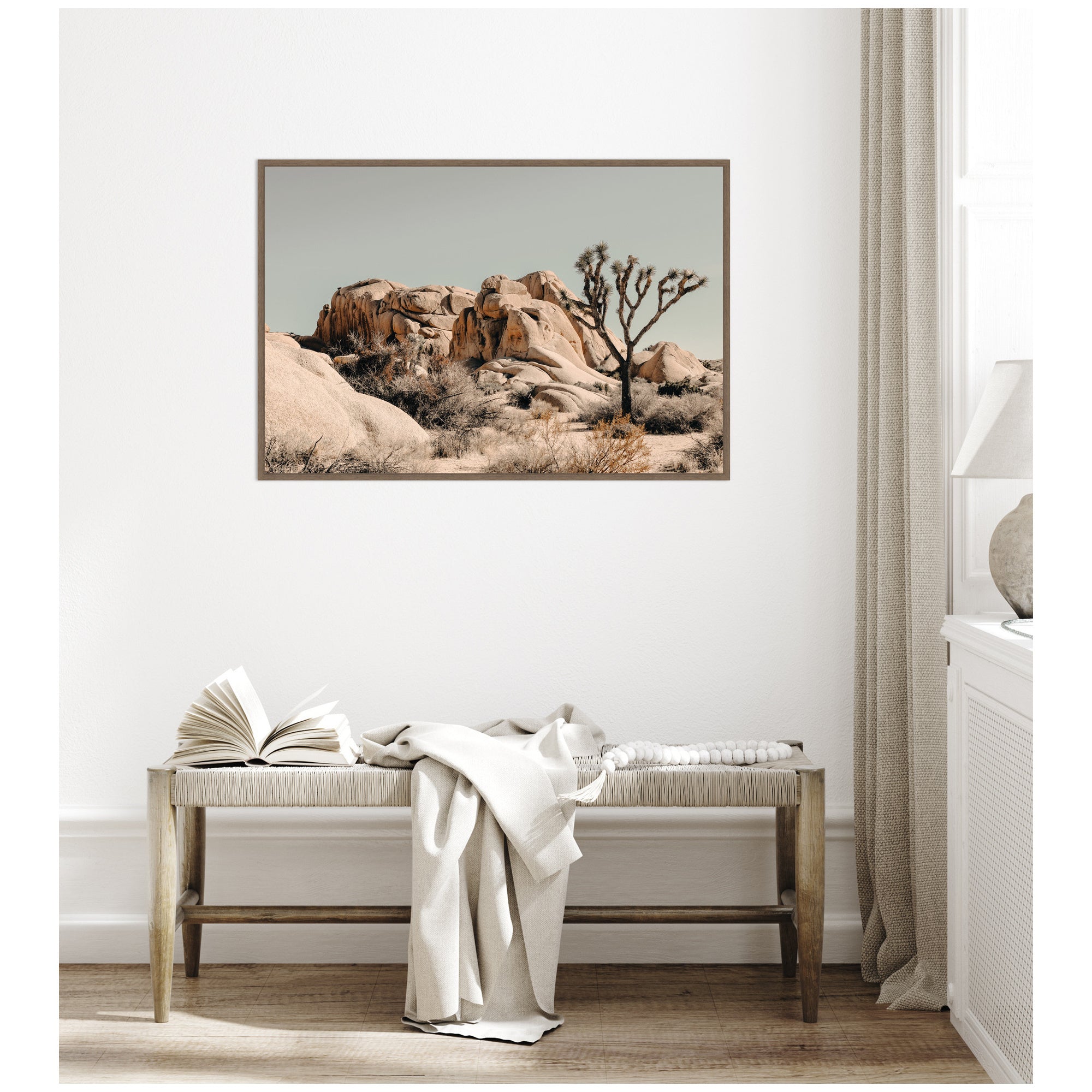 Joshua Tree No. 3 by Alicia Bock Framed Canvas Wall Art Print