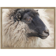 Edward Crop by Emiko and Mark Franzen F2 Images Framed Wall Art Print
