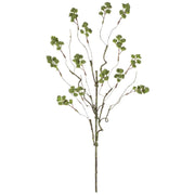 Irish Moss Spray