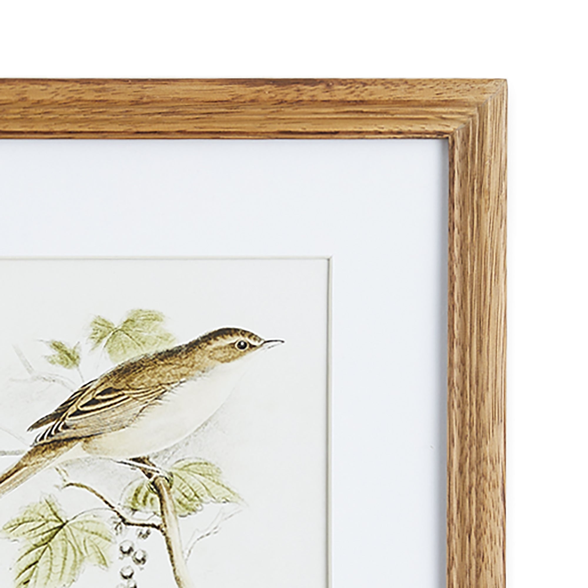 PERCHING BIRD STUDY PETITE, SET OF 4