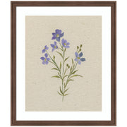 AQ Simple Bloom No 2 by Annie Quigley Framed Wall Art Print