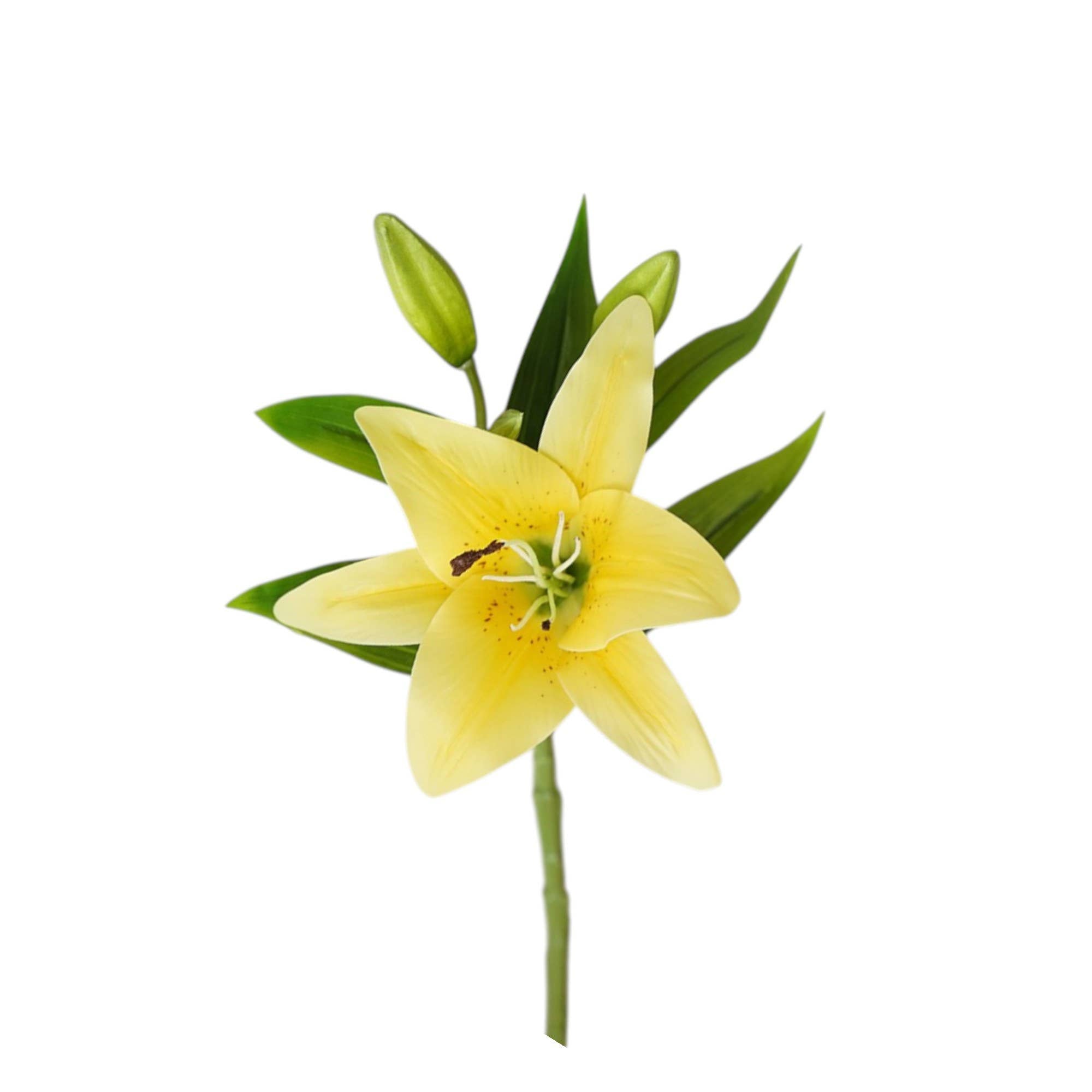 15" Real Touch Artificial Lily Stem – | PVC Material: White