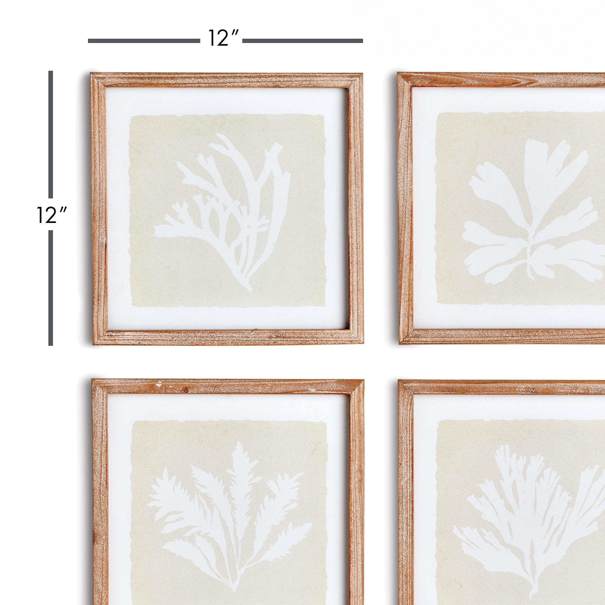 SEAWEED PETITE PRINTS, SET OF 4