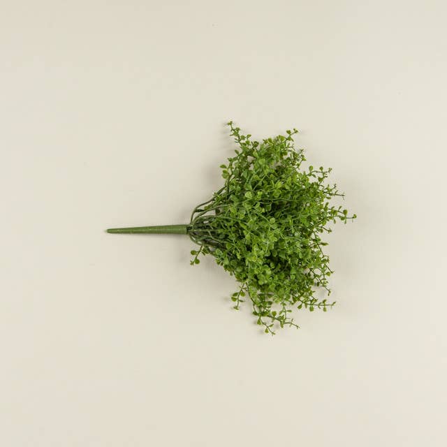 12" BABY GRASS BUSH