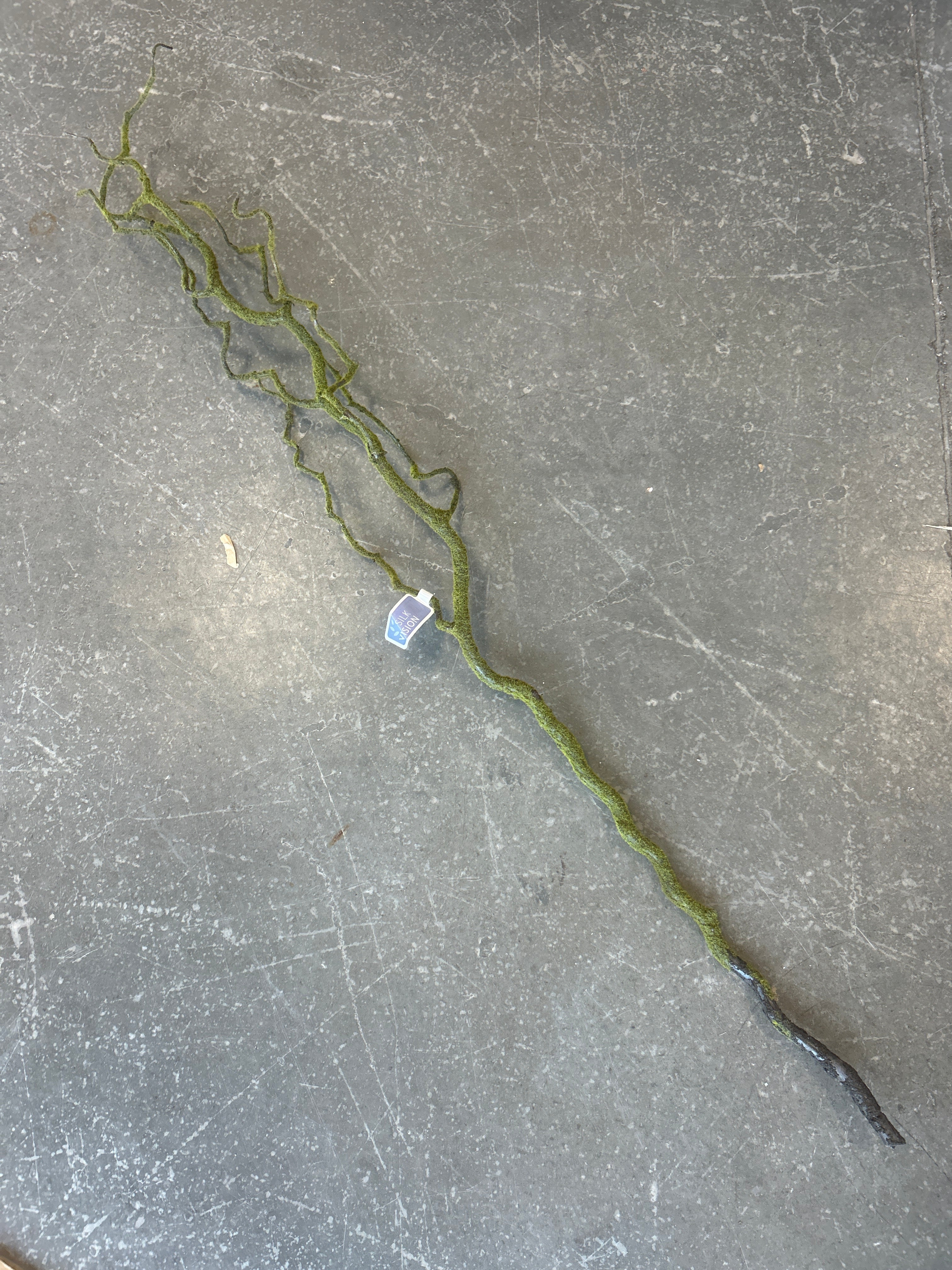 42” Moss Coral Twig Spray MO