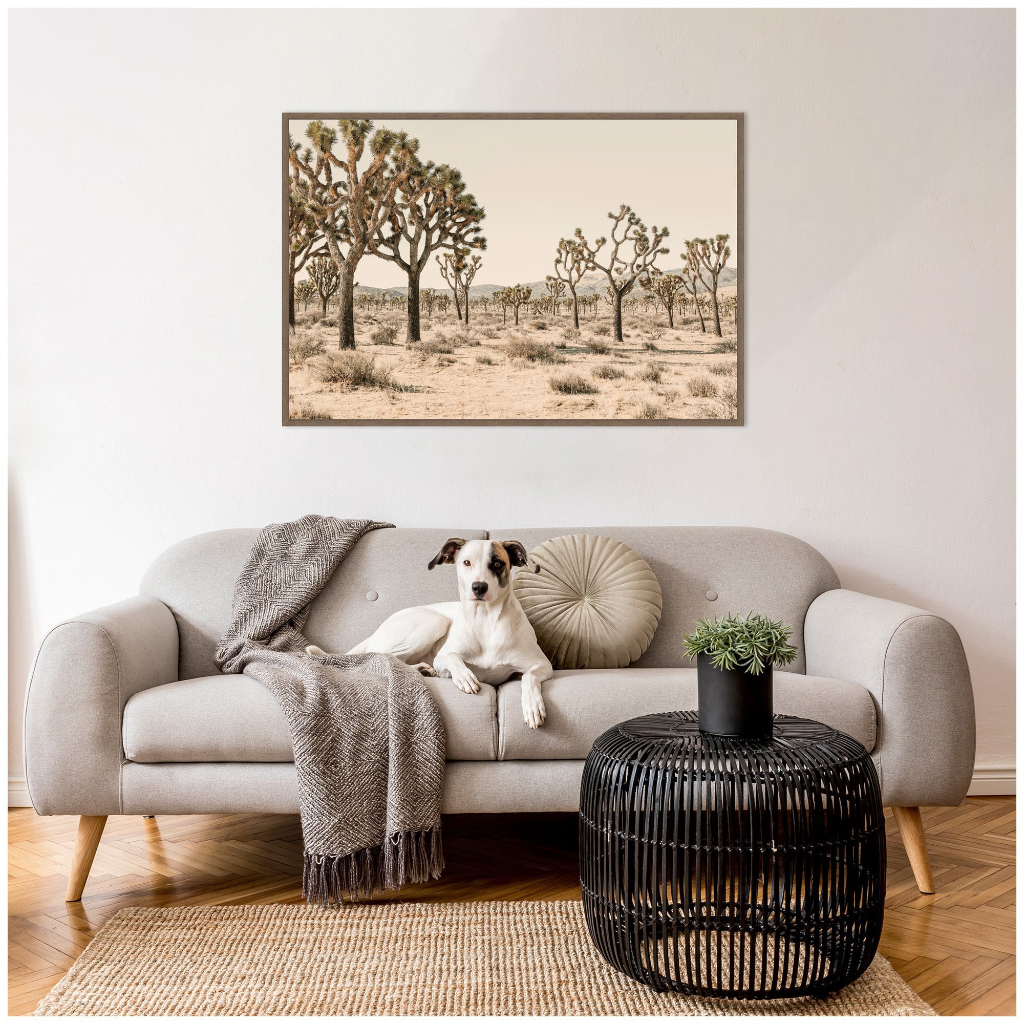 Joshua Tree No. 2 by Alicia Bock Framed Canvas Wall Art Print