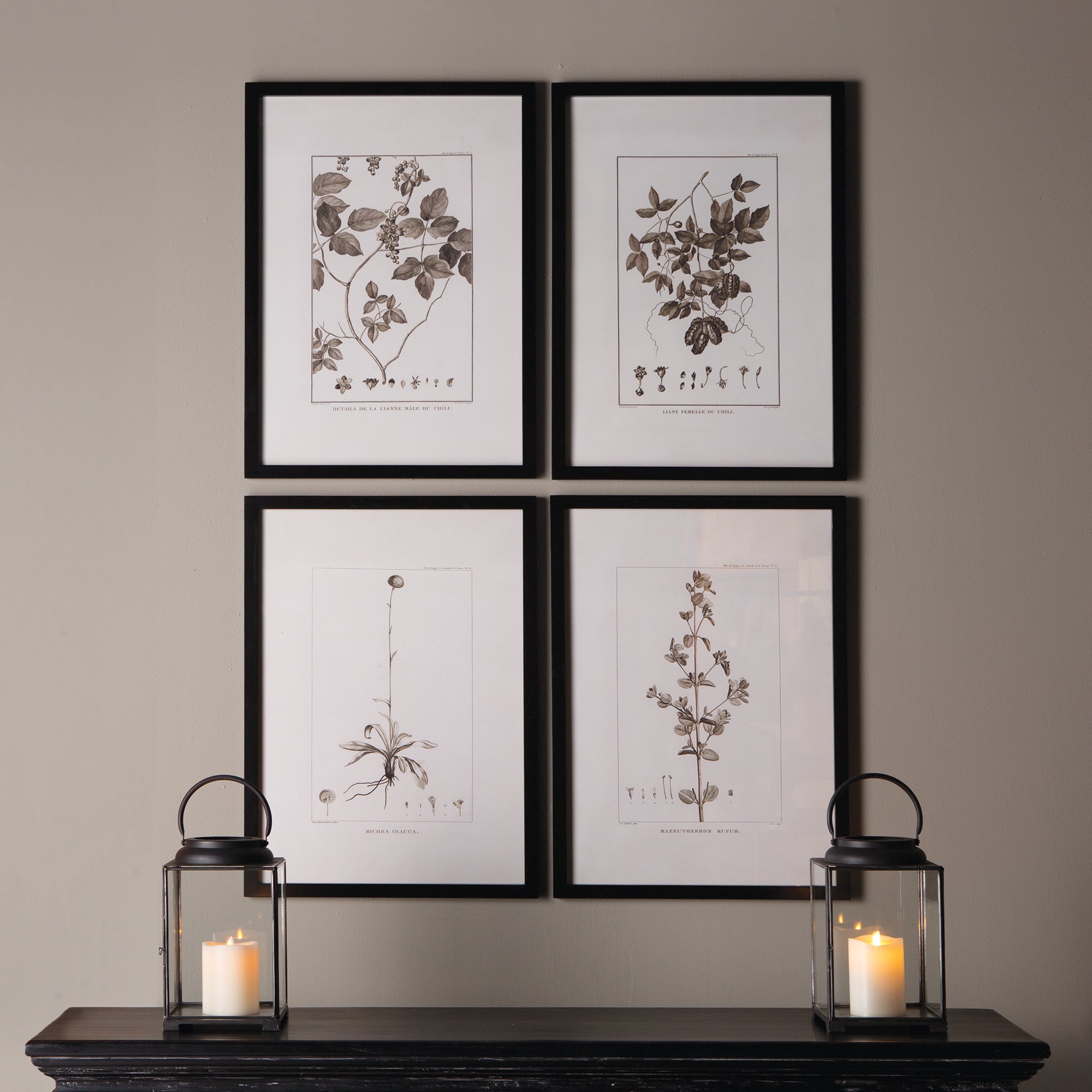 FRAMED SEPIA-TONE BOTANICAL PRINTS, SET OF 4