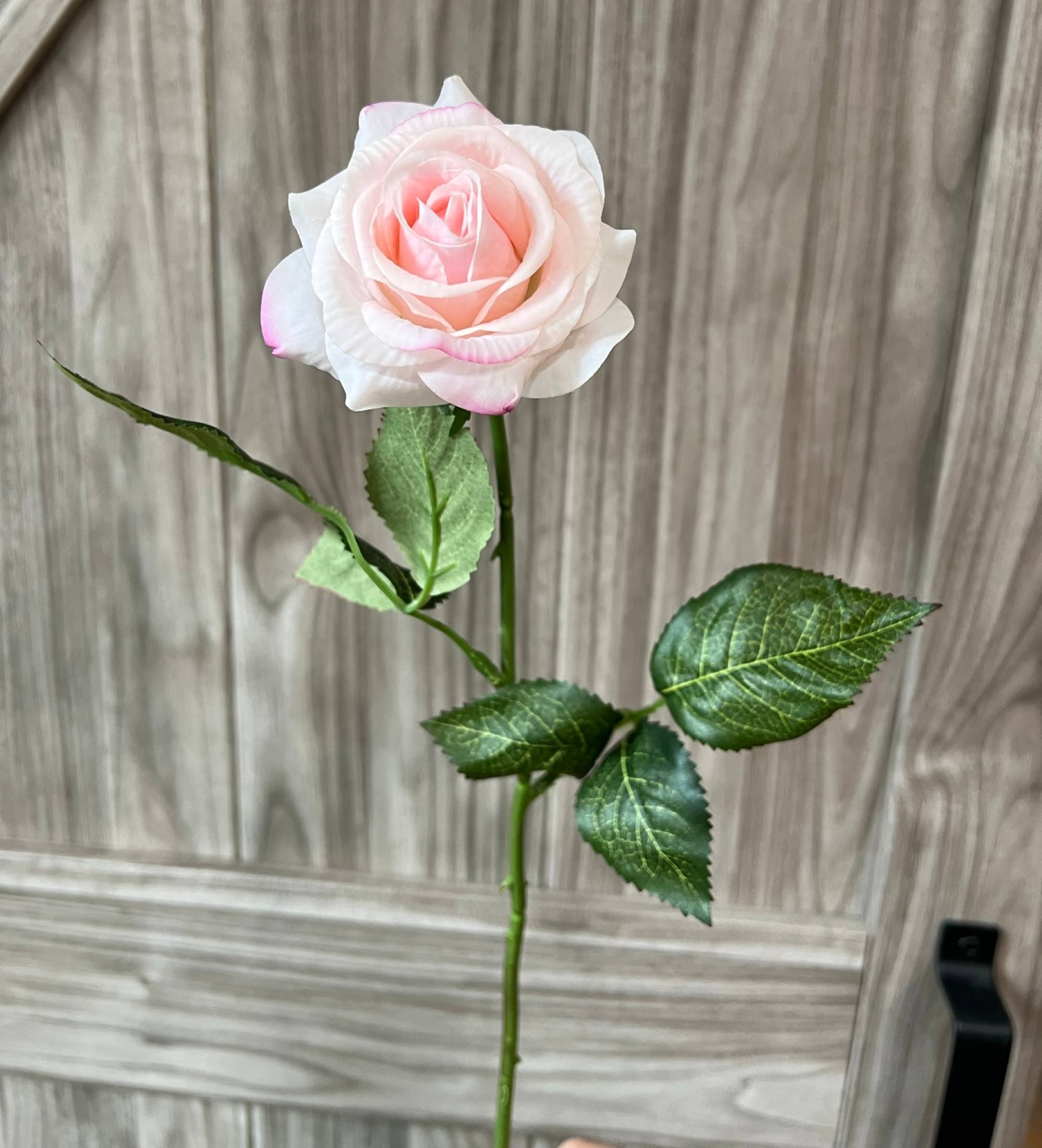 Pack of 48 stems-real touch rose: Stark White