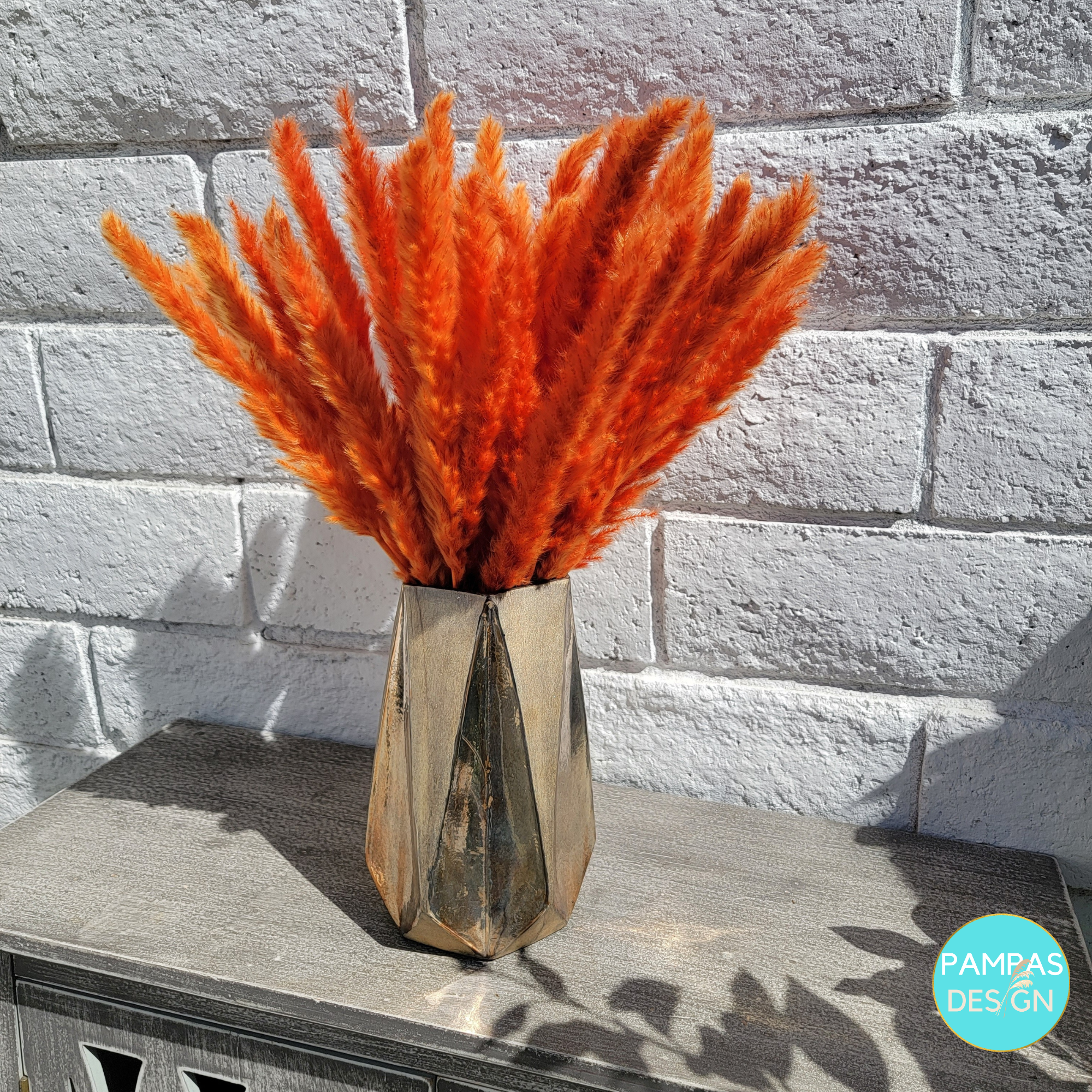 Pampas Grass Brown 30 Stems: 30 Stems / Natural Brown