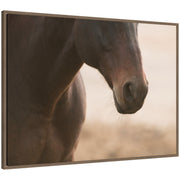 Dusty by Crystal Lynn Collins Framed Canvas Wall Art Print