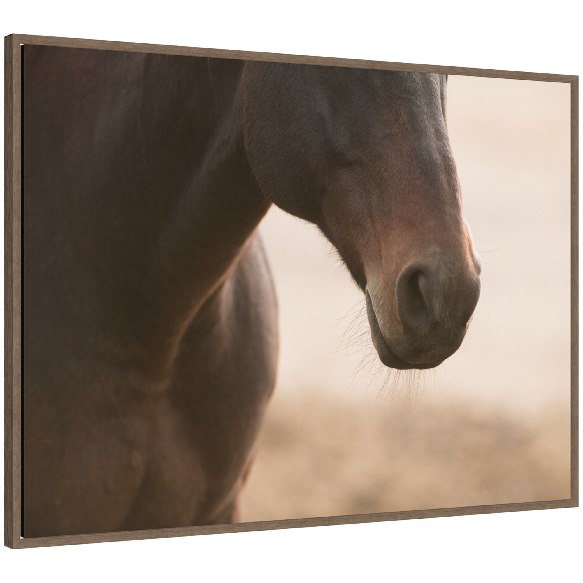 Dusty by Crystal Lynn Collins Framed Canvas Wall Art Print