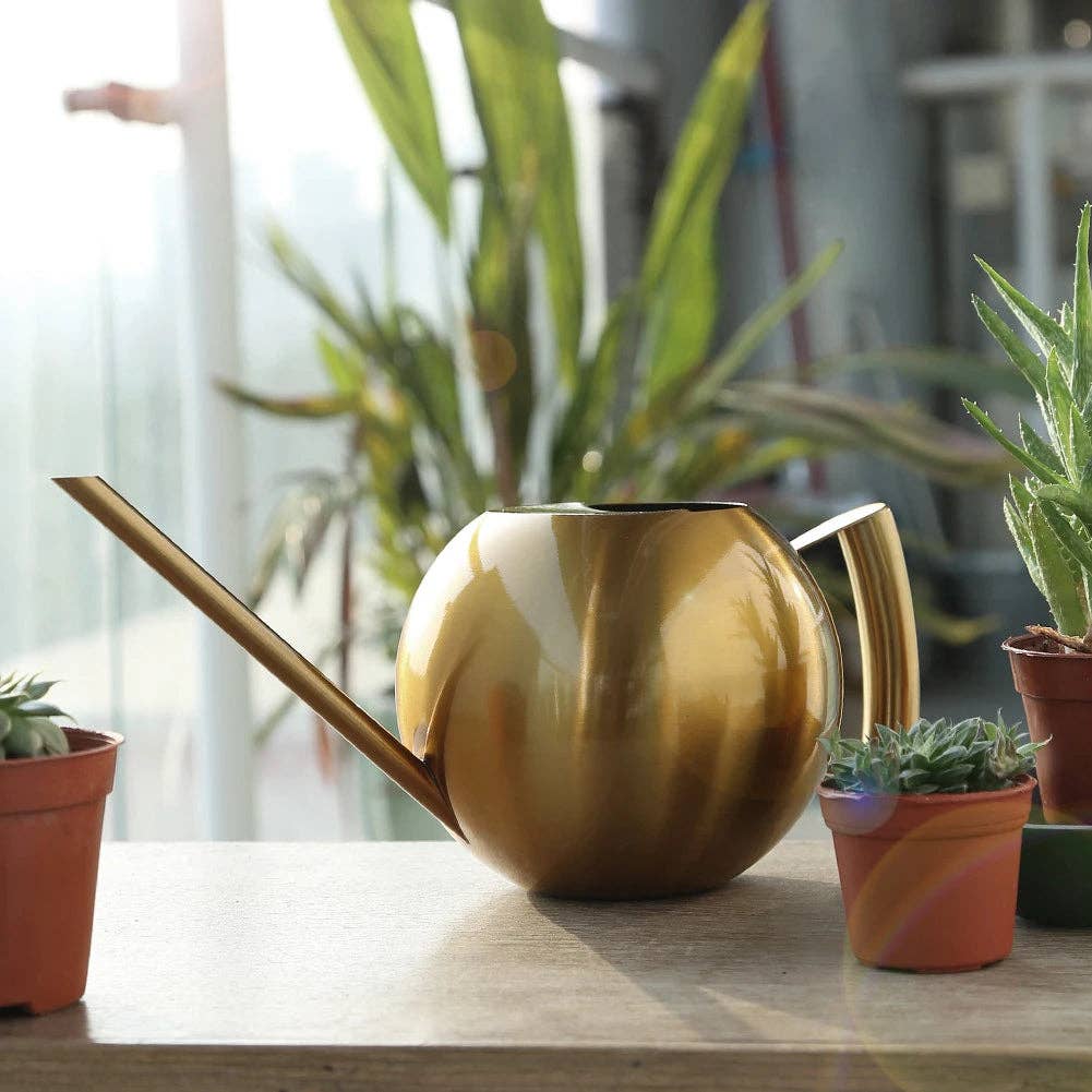 Minimalist Plant Watering Can: Gold