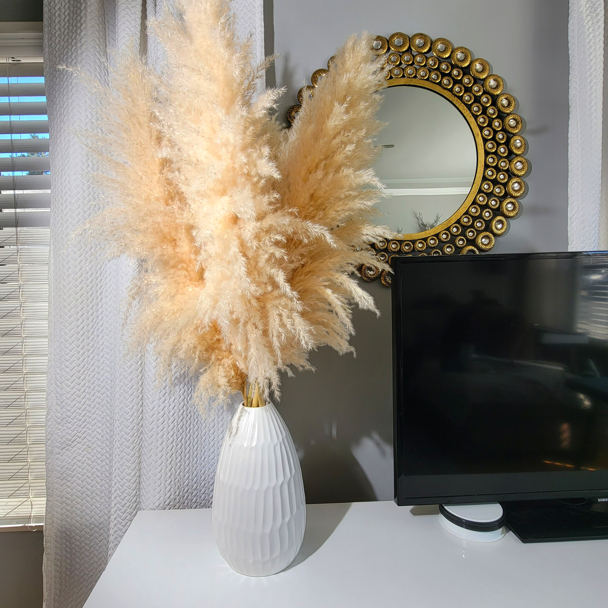 Huge XL Fluffy Pampas Grass 10 Stem Bundle (3.5ft to 4ft Tall)