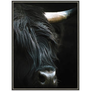 Minimalist Black Highland Cow Close by Michael Schauer Framed Wall Art Print