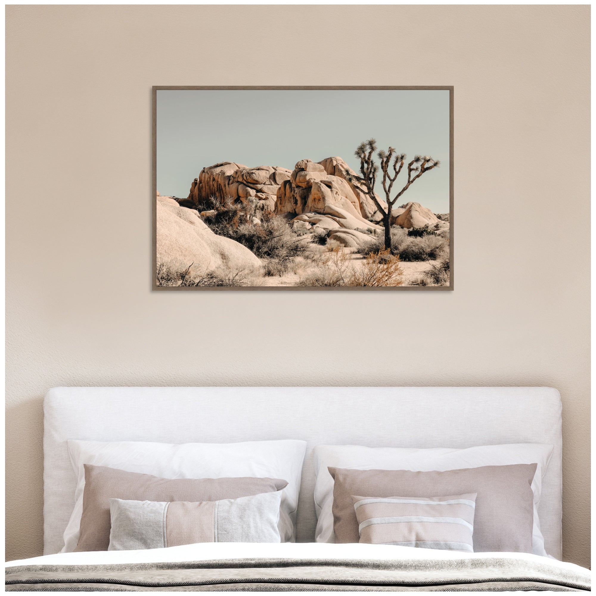 Joshua Tree No. 3 by Alicia Bock Framed Canvas Wall Art Print