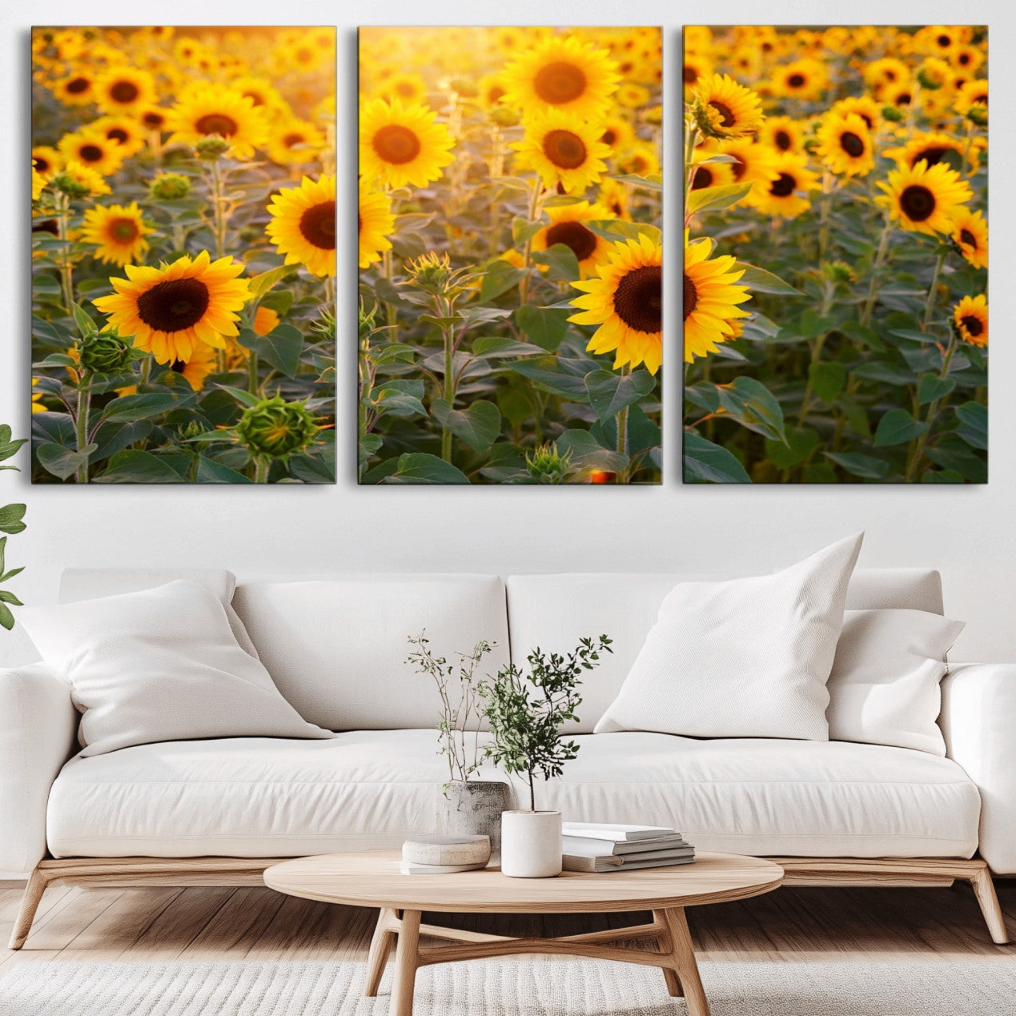 Sunflower Sunshine Wall Art Canvas Print