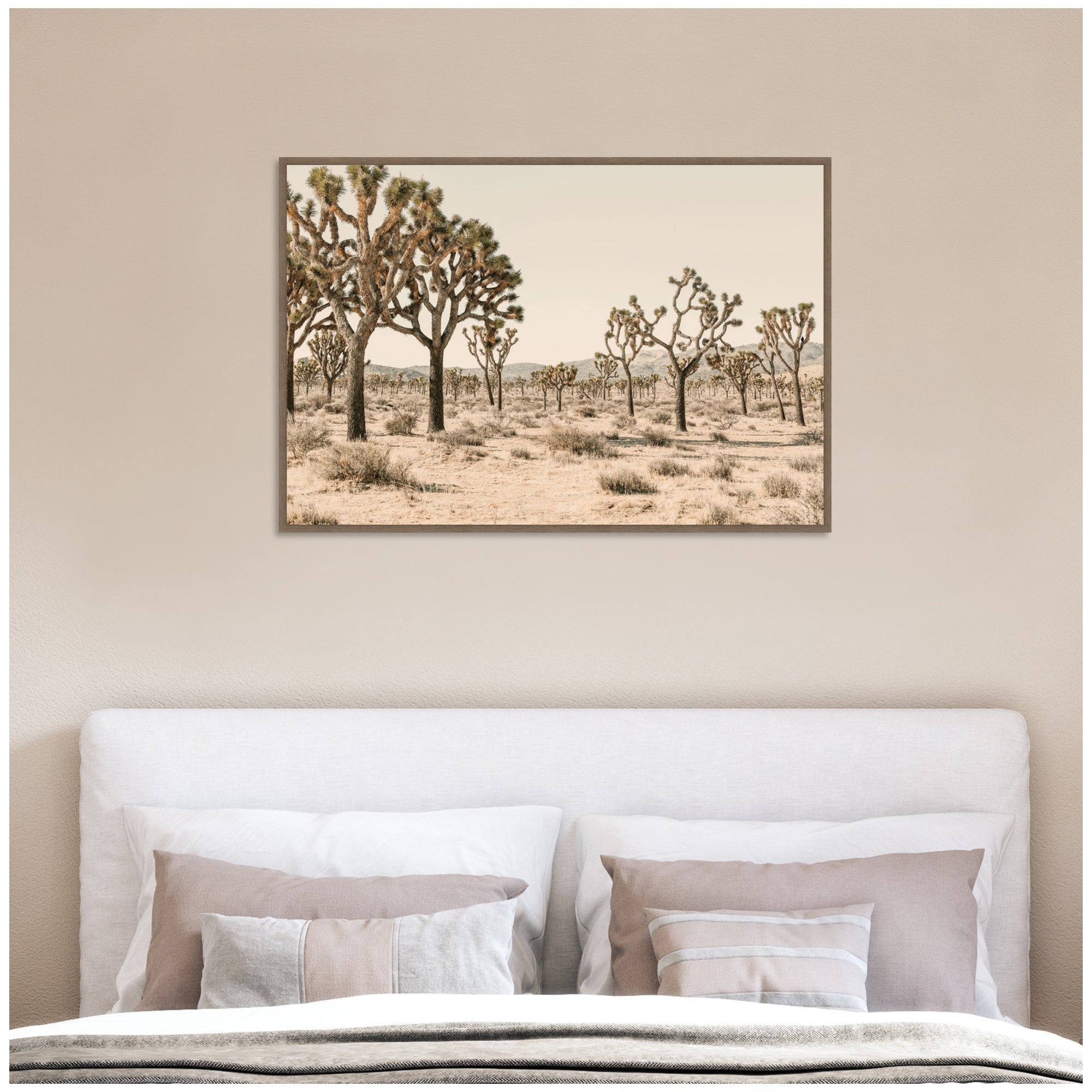 Joshua Tree No. 2 by Alicia Bock Framed Canvas Wall Art Print