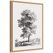 Sylvie Jean Victor Bertin Study of a Tree 1816 Framed Canvas by The Art Institute of Chicago