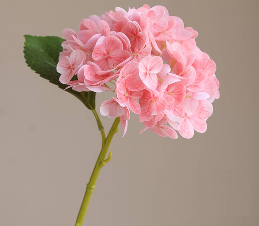12.5"Real Touch lifelike Hydrangea-6”bloom: Pure White