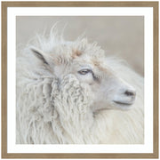 Harry Crop by Emiko and Mark Franzen F2 Images Framed Wall Art Print