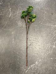 30” Sedum Spray GR