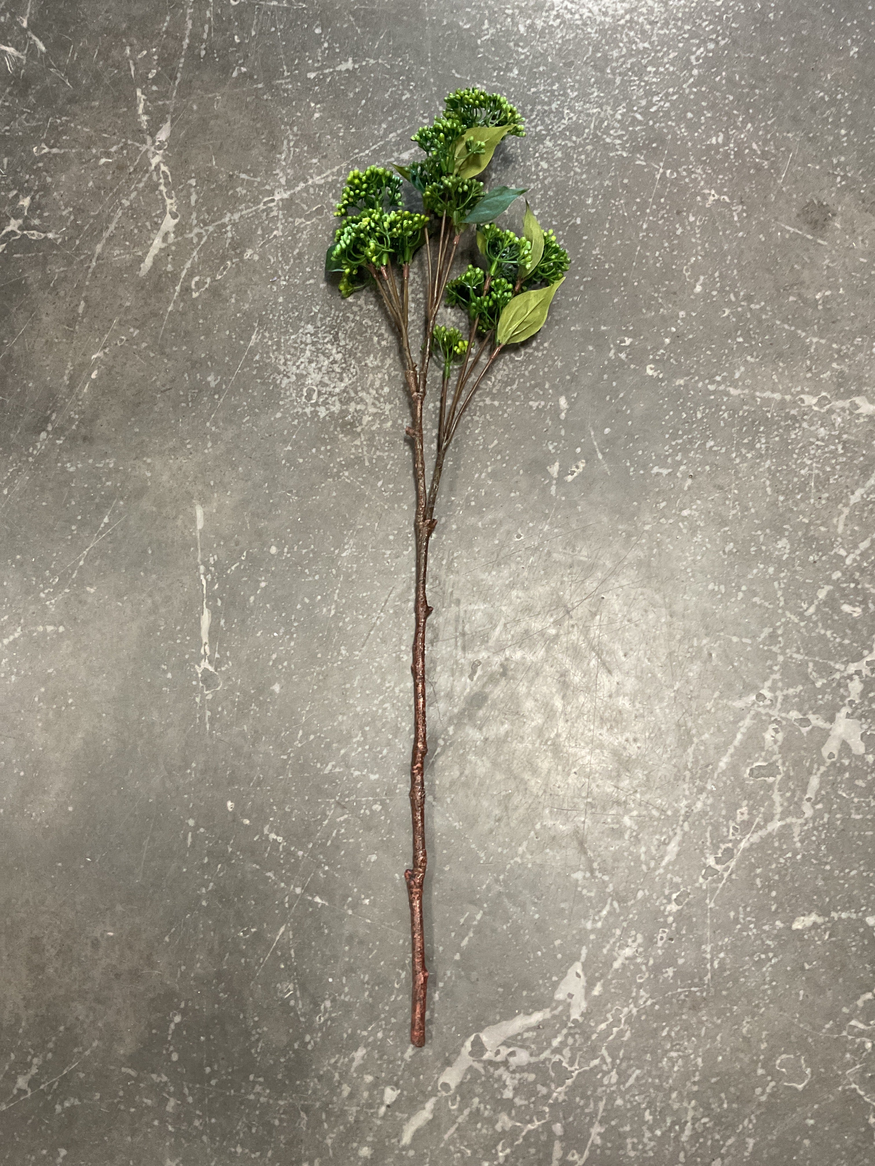 30” Sedum Spray GR