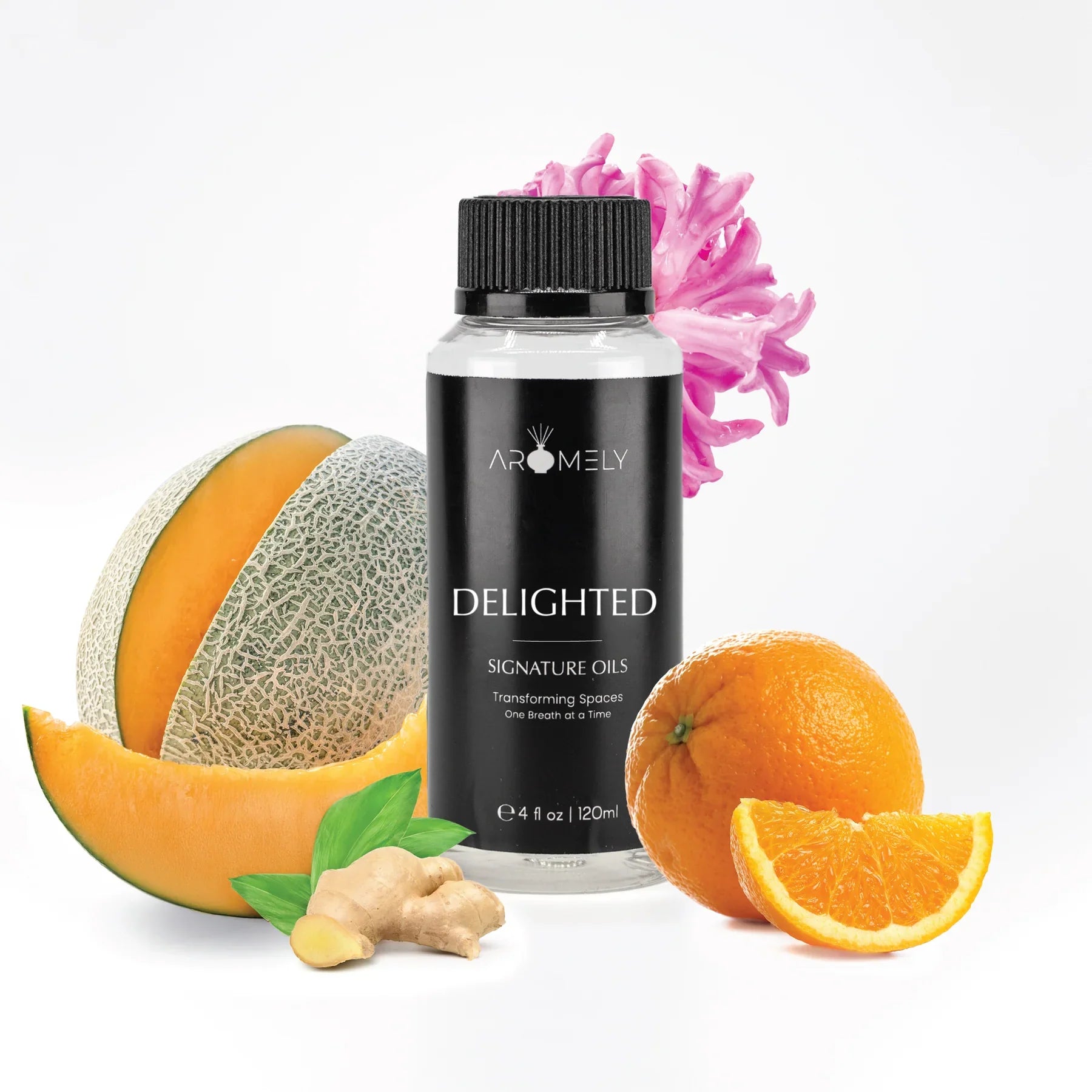 Delighted - Inspired by Four Seasons® Hotel Bora Bora