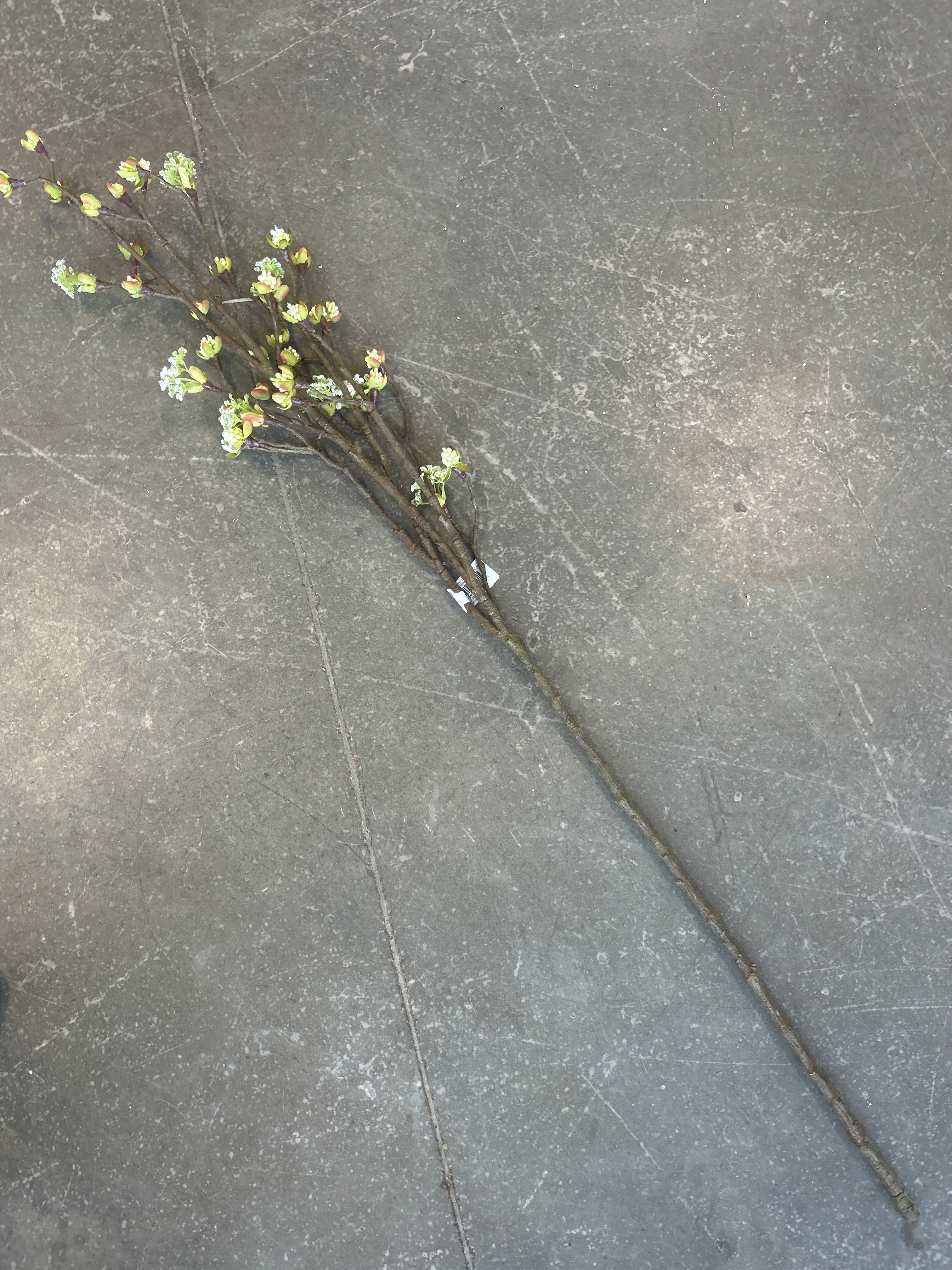 42” Budding Blossom Branch CR/G