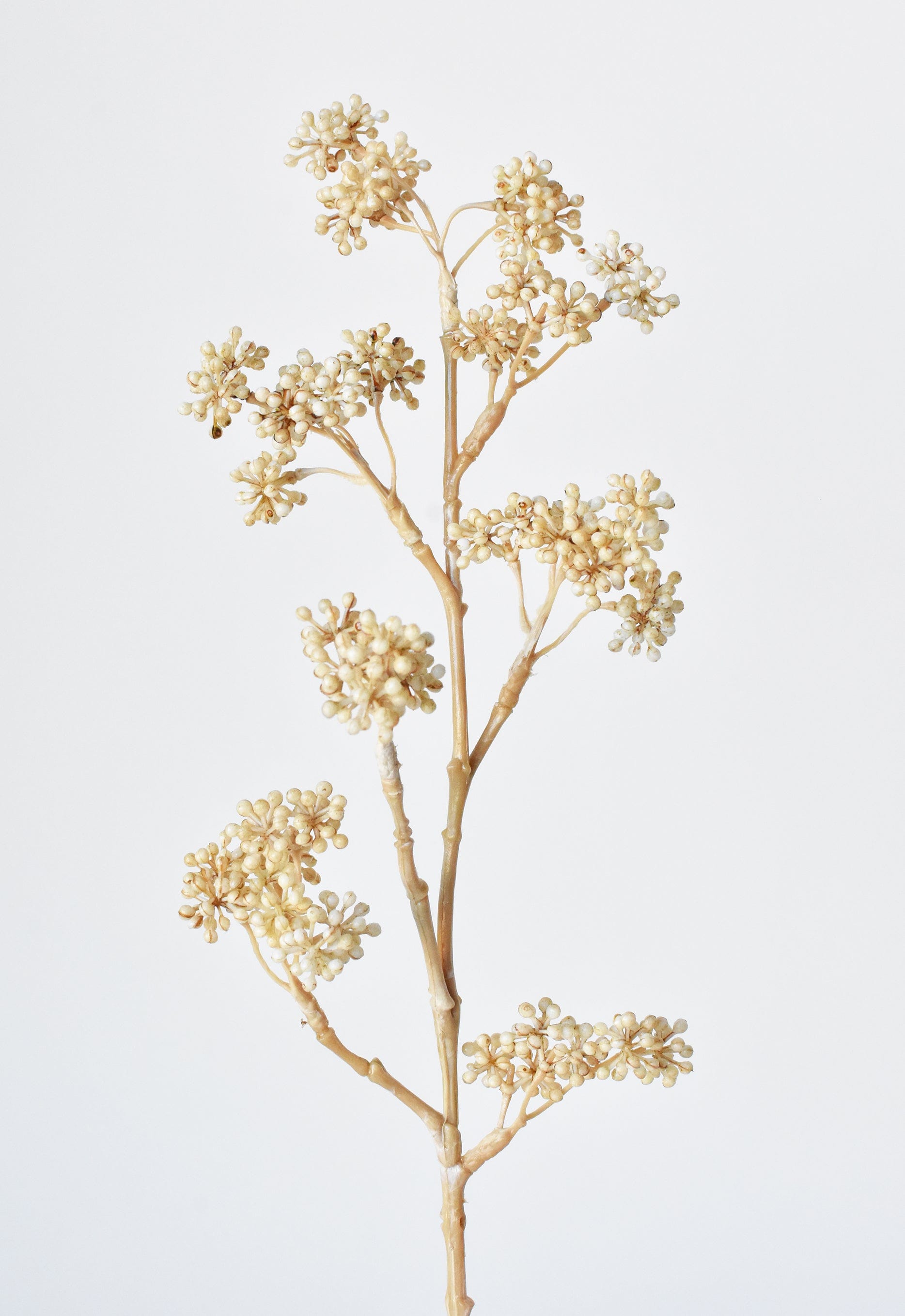 17" Faux Cream Sedum Spray Stem