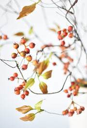38" Faux Orange Berry Branch Stem
