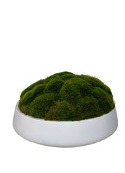 WH NEWPORT BOWL/ MOOD MOSS XL