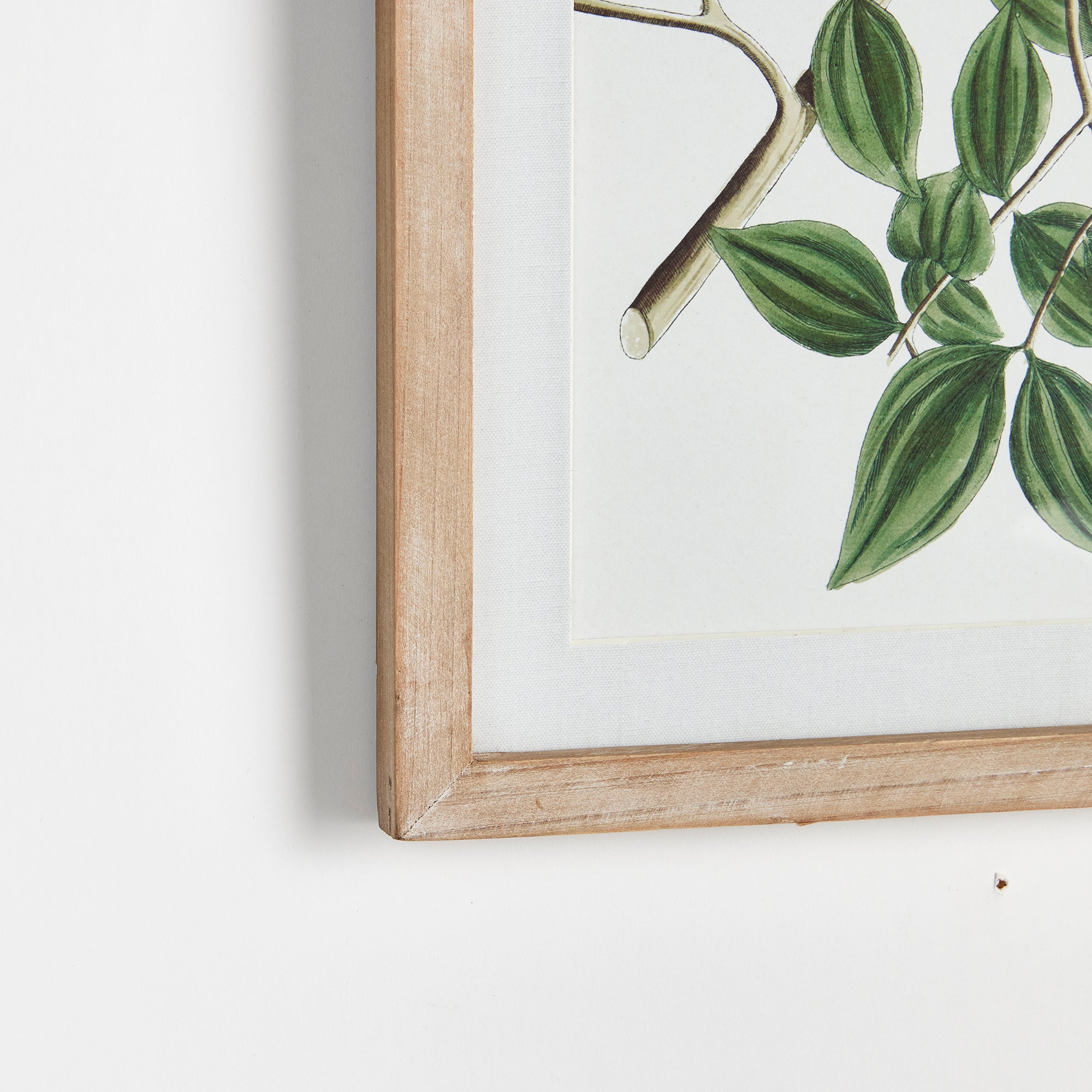 VERDANT BRANCH PRINTS, SET OF 4