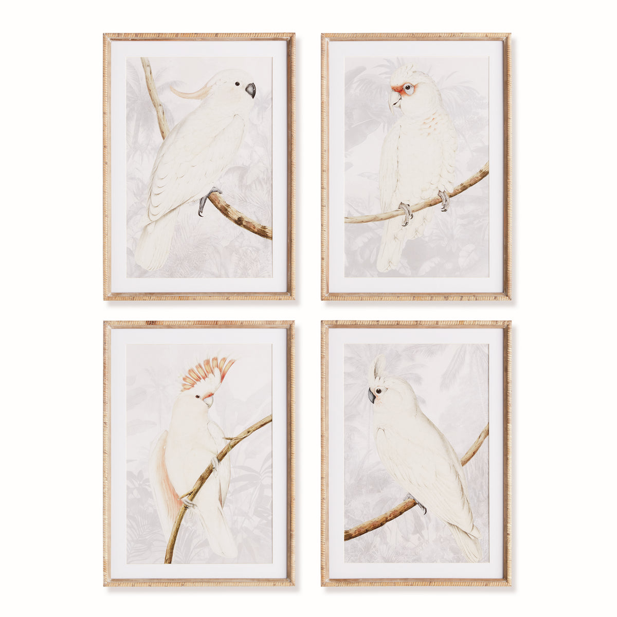 WHITE COCKATOO PRINTS, SET OF 4