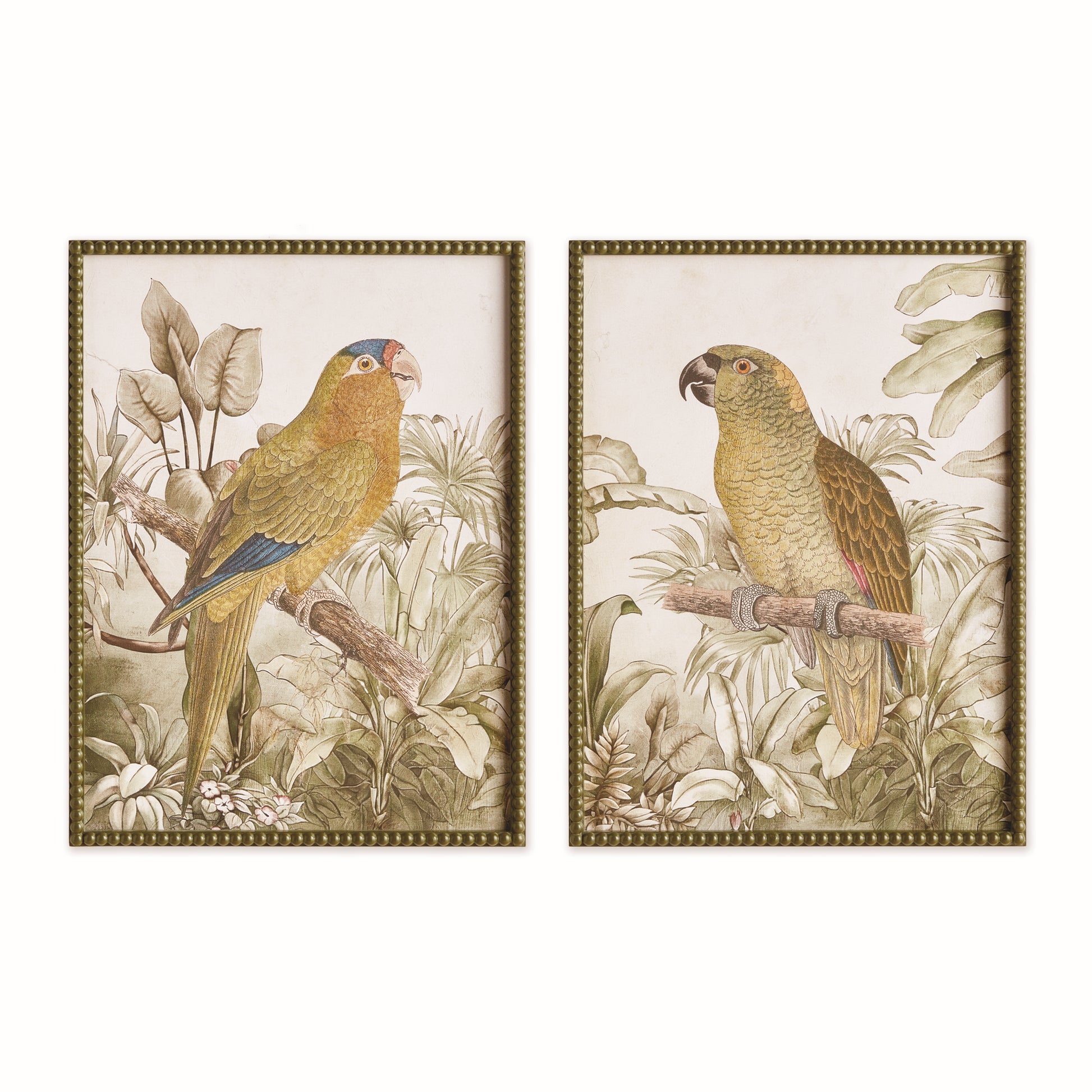 TROPICAL PARROT PRINTS, SET OF 2