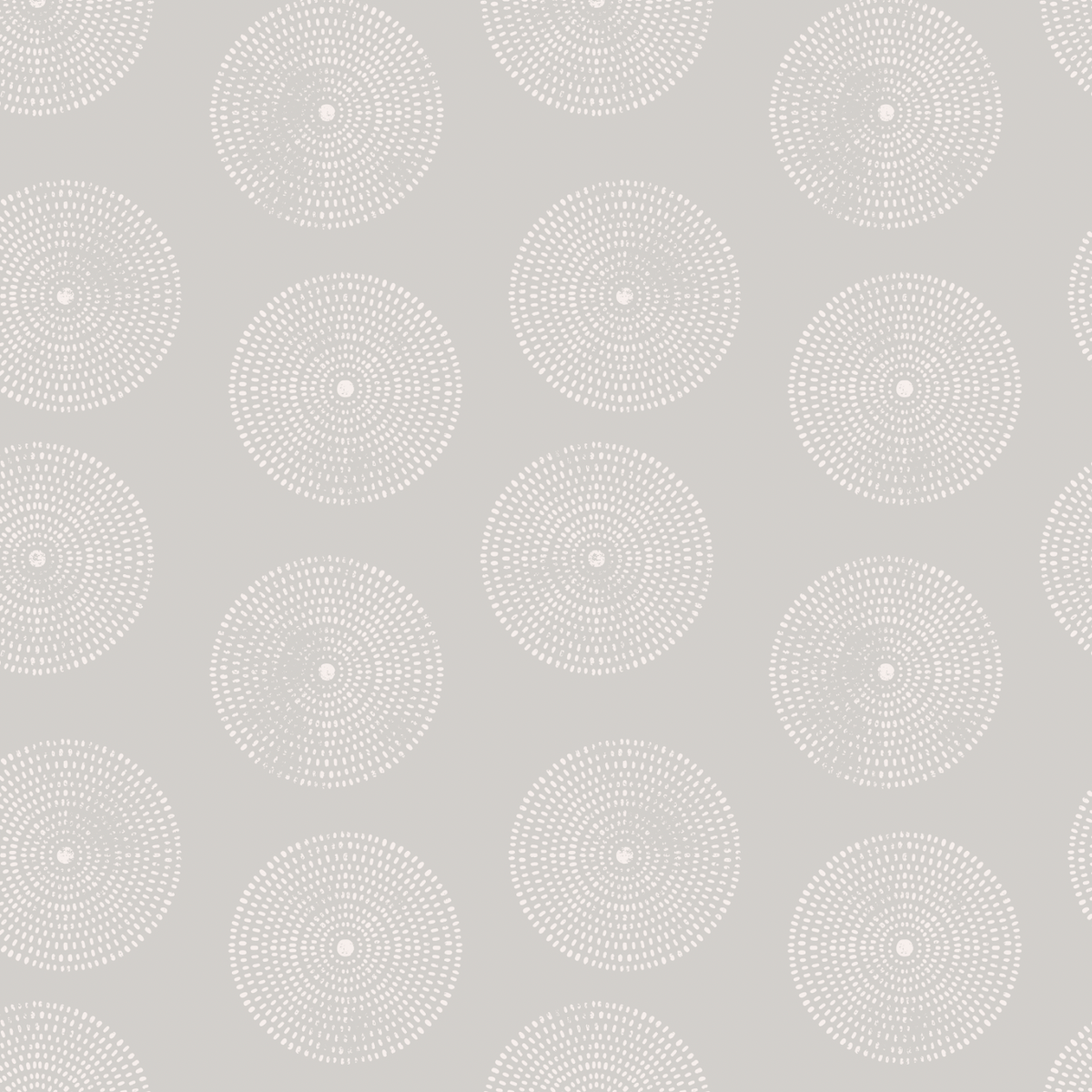 Sand Dollar Wallpaper