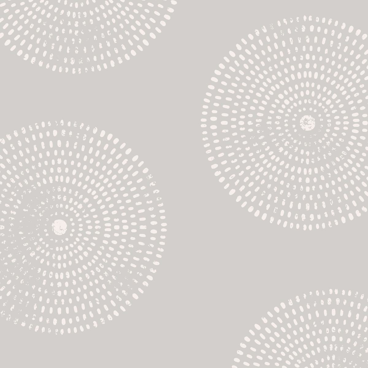 Sand Dollar Wallpaper