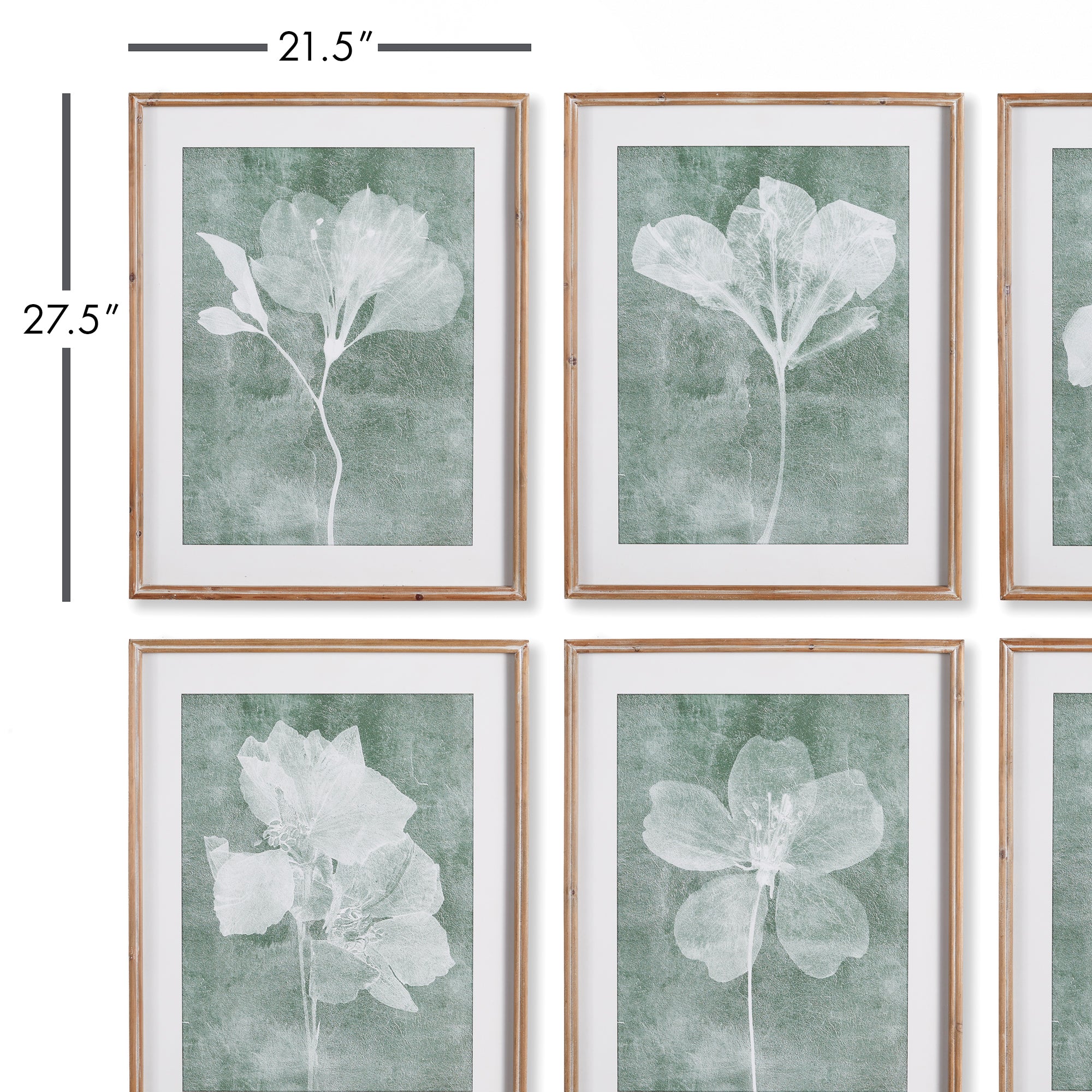 TRANSLUCENT FLORAL PRINTS, SET OF 6