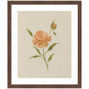 AQ Simple Bloom No 7 by Annie Quigley Framed Wall Art Print