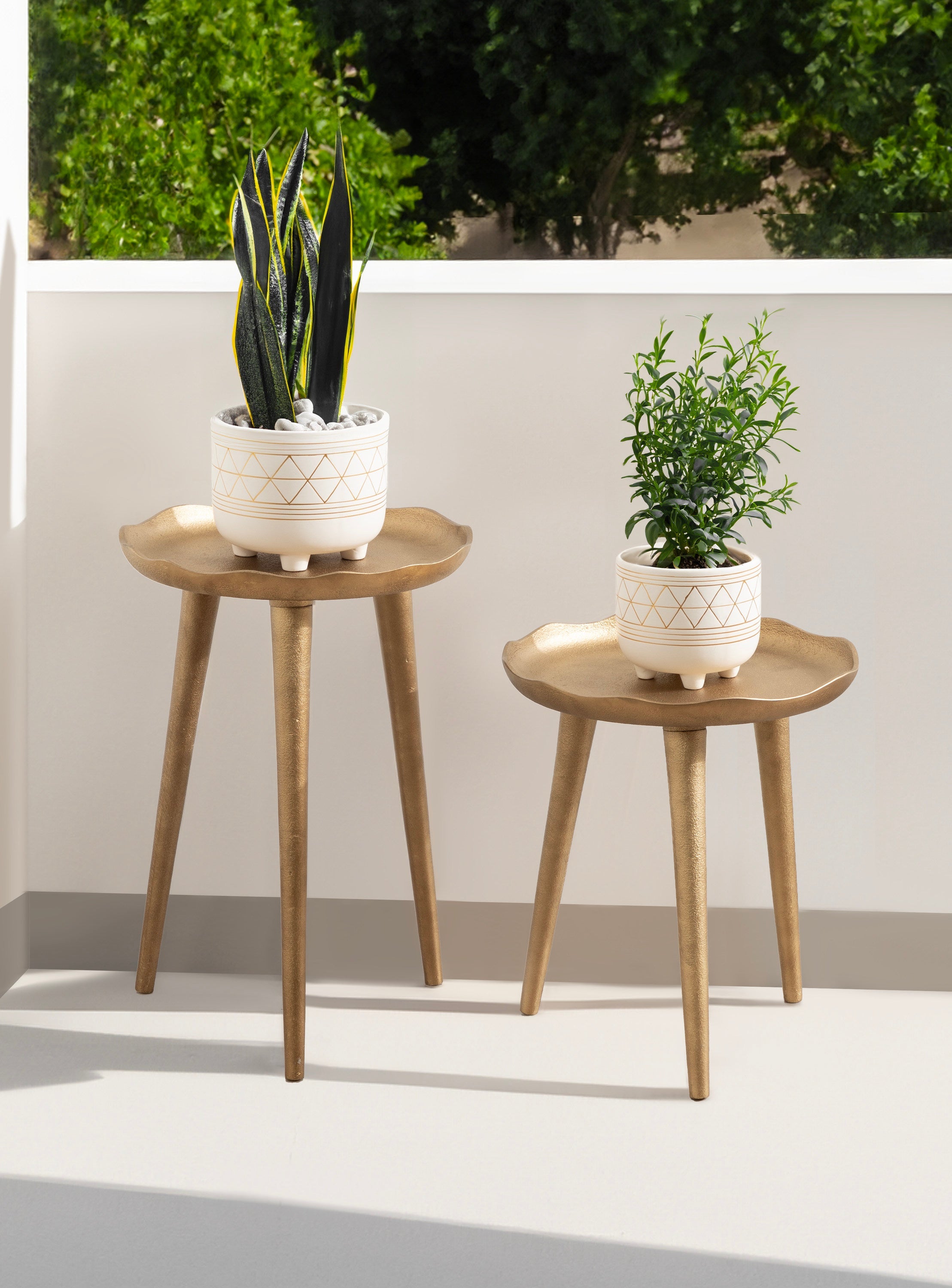 Alessia Plant Stand Set