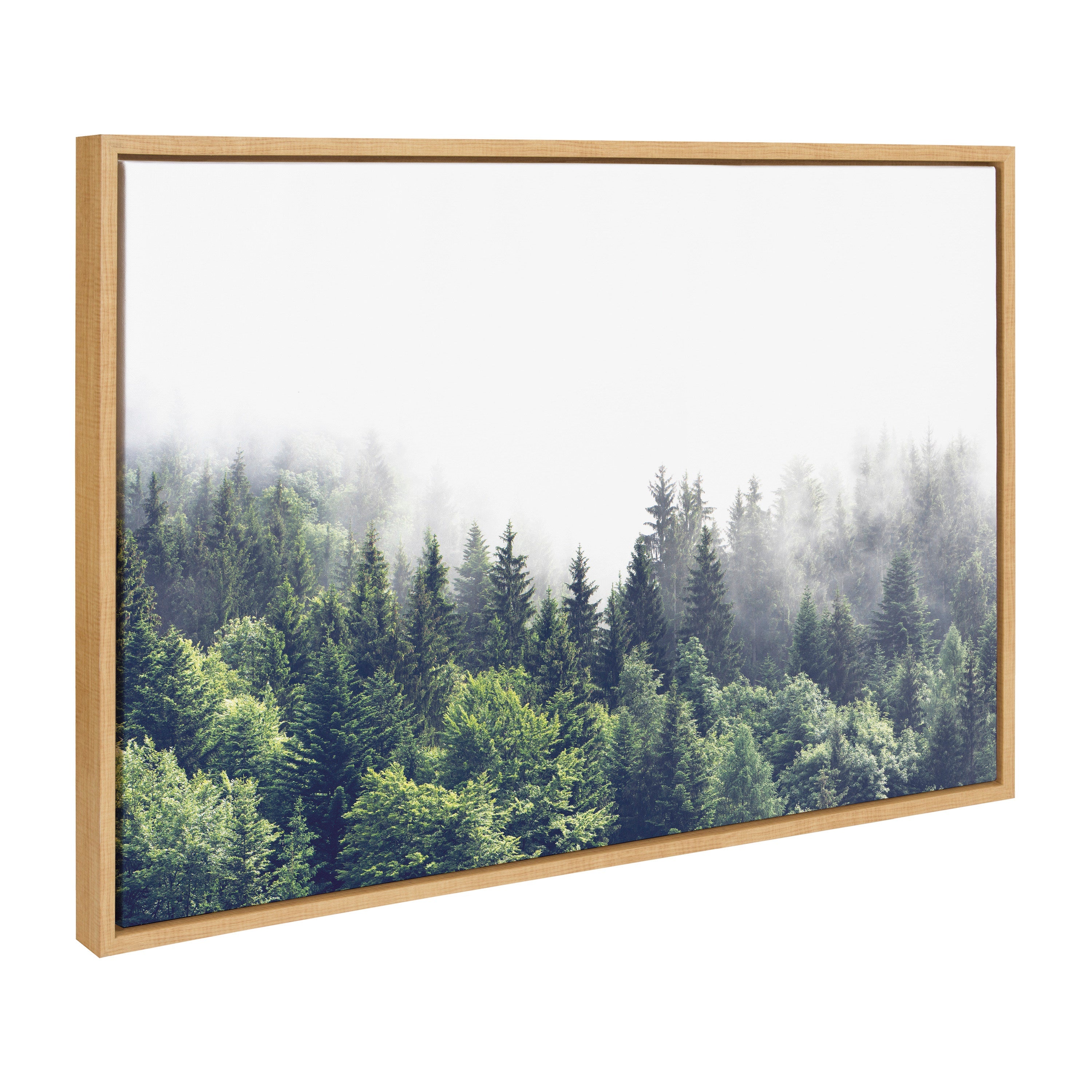 Sylvie Lush Green Forest on a Foggy Day and Vintage Botanical 3 and 4 Black and White Framed Canvas Art Set by Various Artists