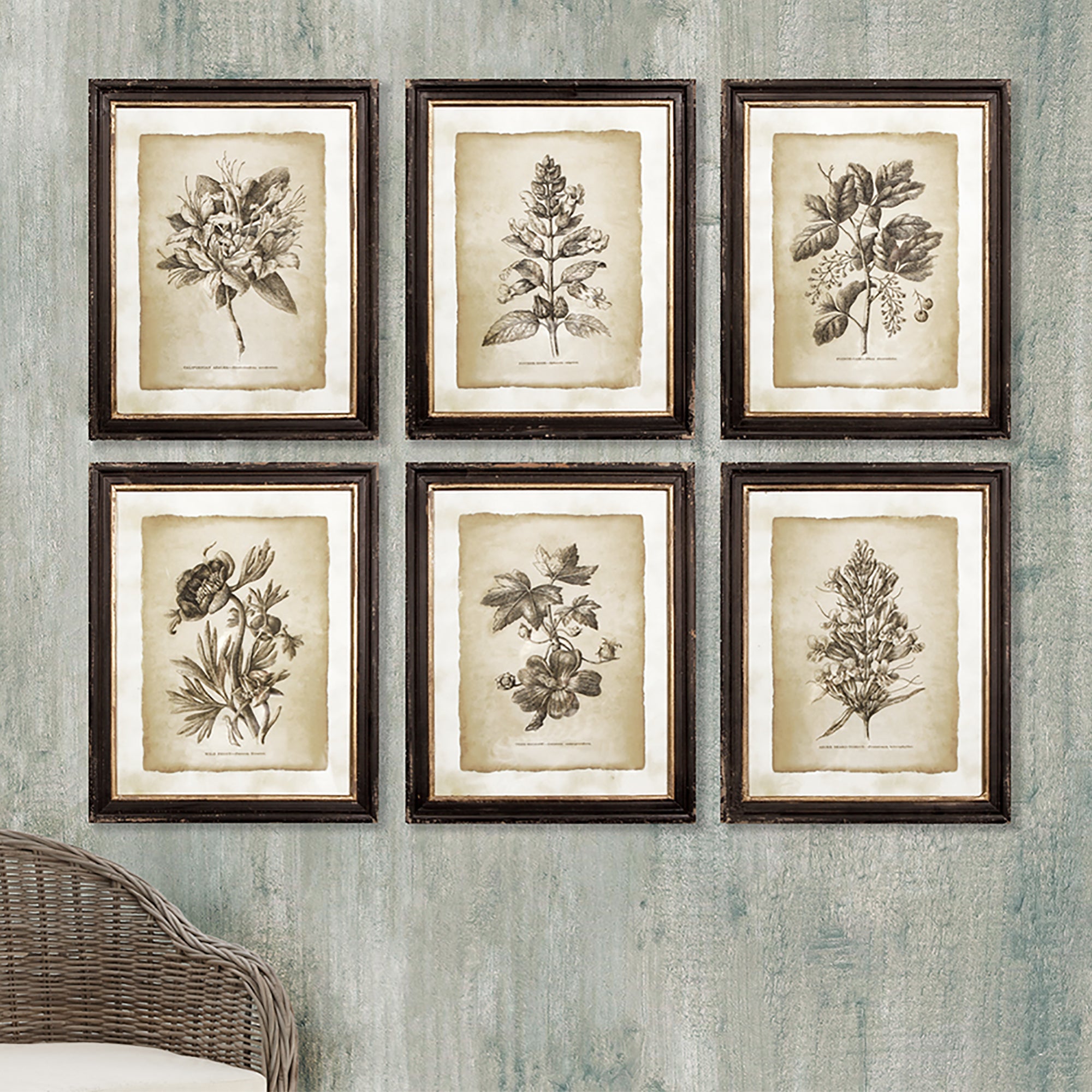 FRAMED VINTAGE FLORAL PRINTS, SET OF 6