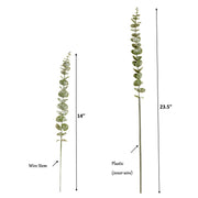Lifelike soft touch Frosty Flocked Spiral Eucalyptus Stem: 14"