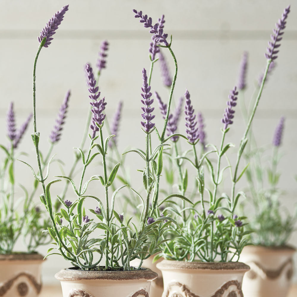 FRENCH LAVENDER DROP-IN 13", SET OF 6