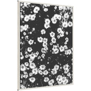 Sylvie Chamomile Framed Canvas by Alicia Abla