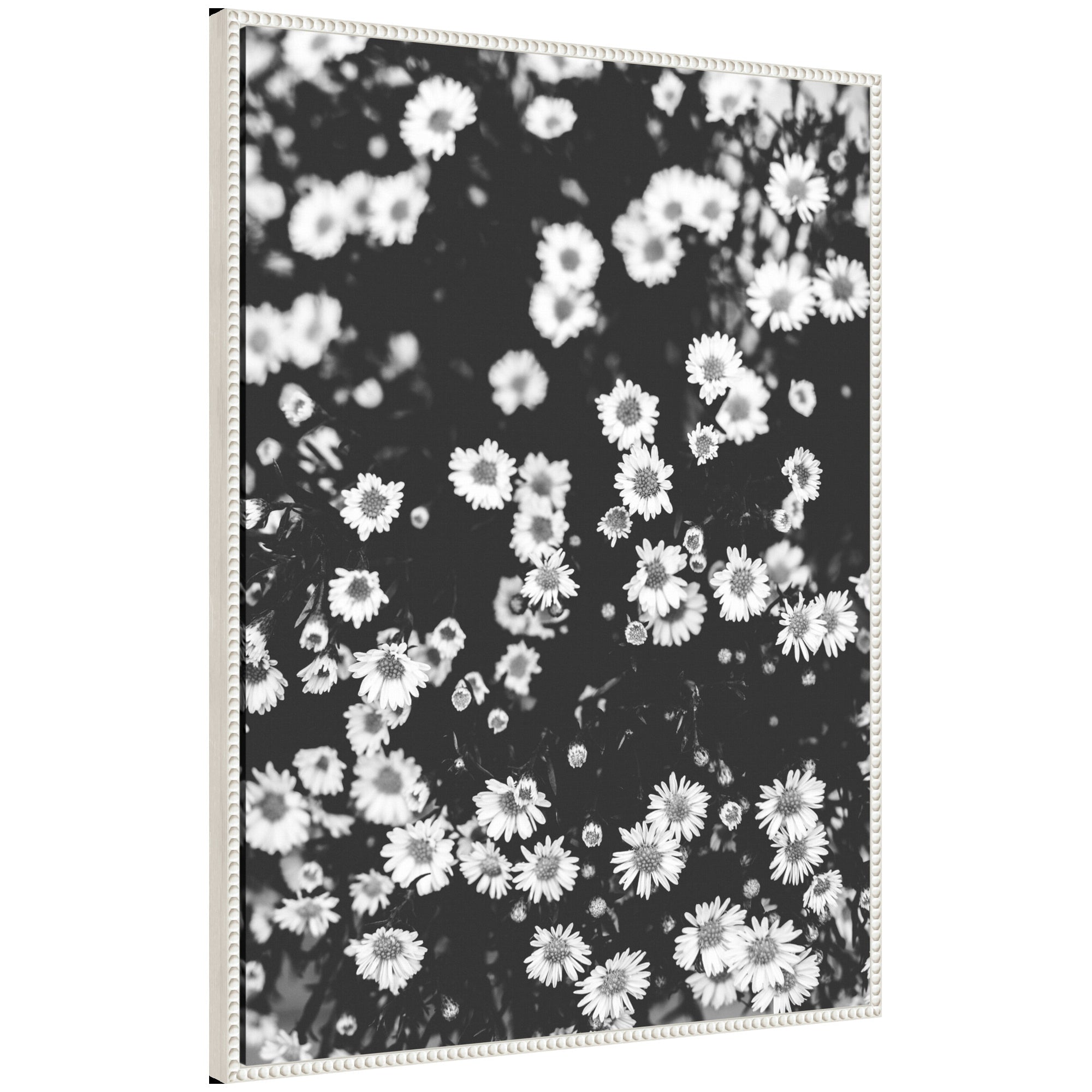 Sylvie Chamomile Framed Canvas by Alicia Abla