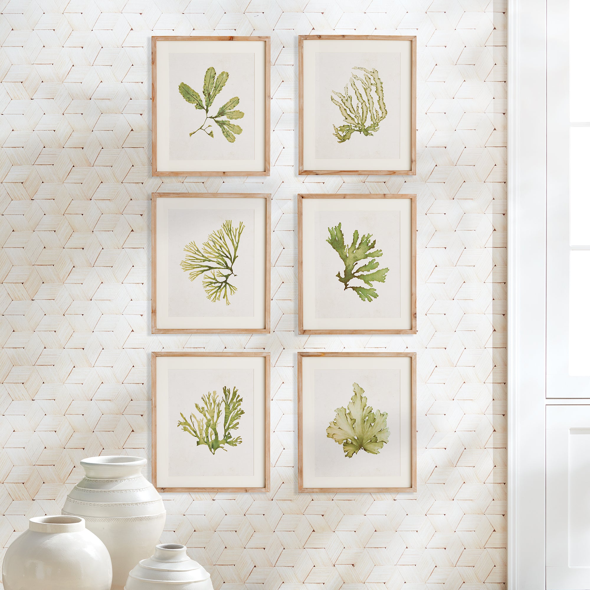 KELP PRINTS, SET OF 6