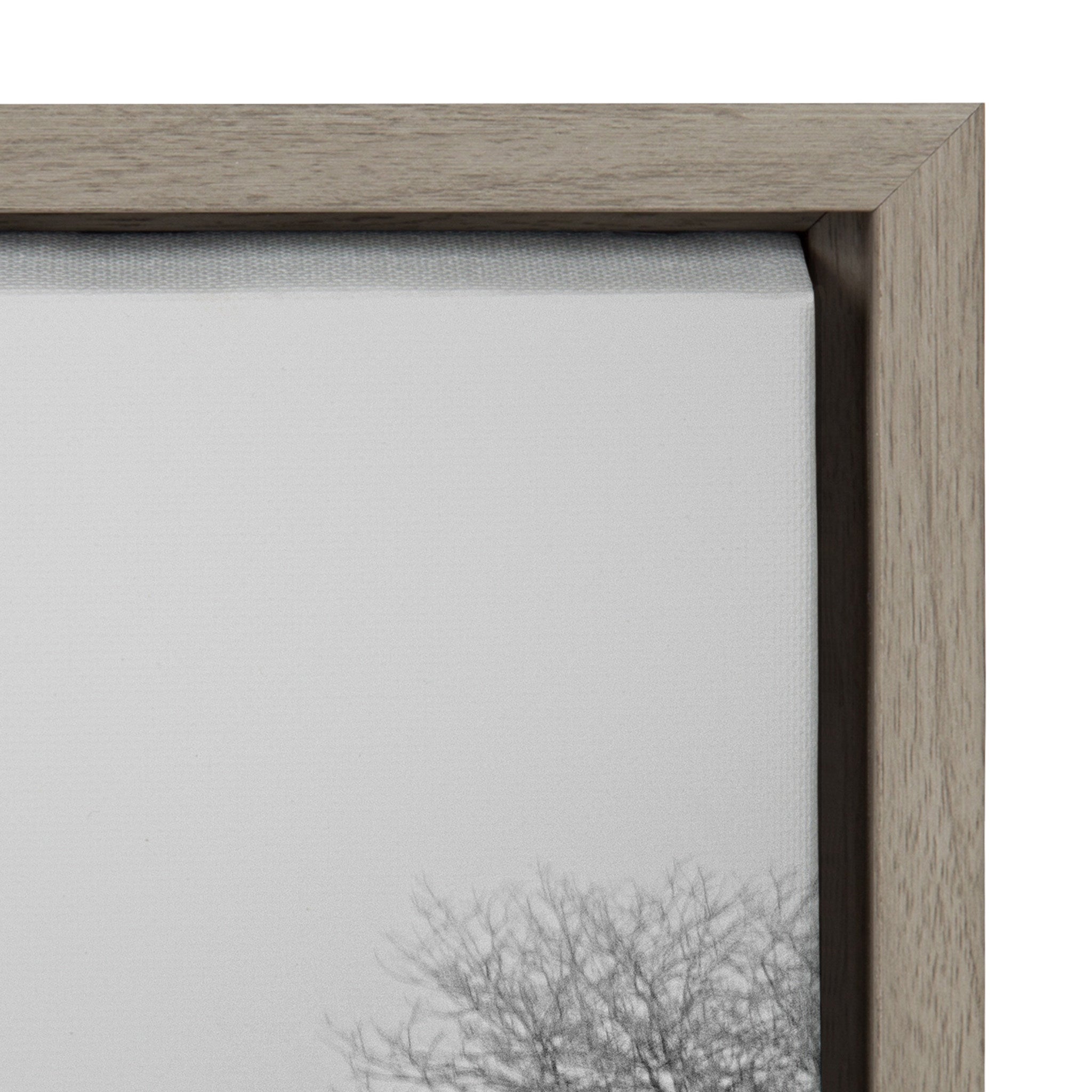 Sylvie Black and White Snow Day Framed Canvas by Emiko and Mark Franzen of F2Images