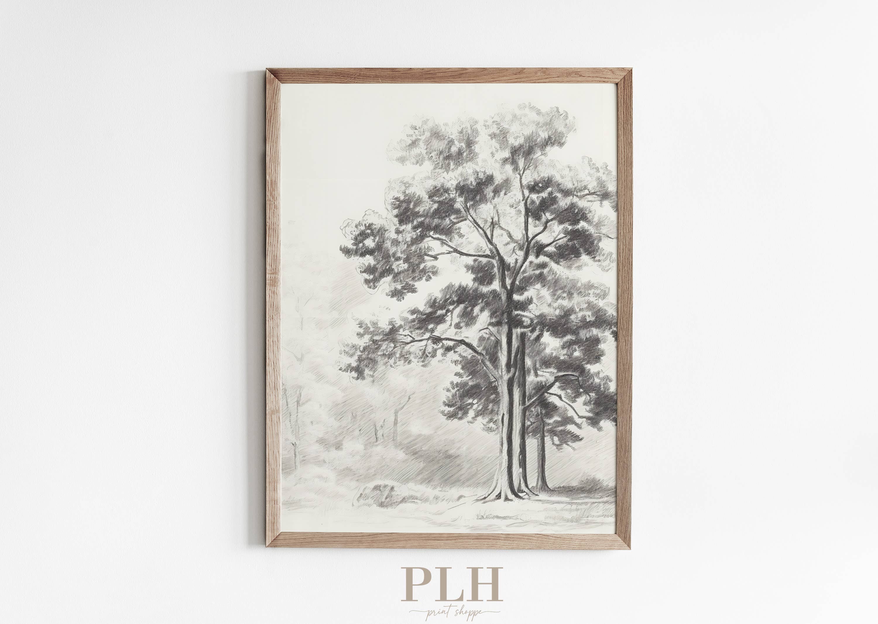 Tree Sketch Premium Quality Art Print: 5"x7" - Frame Option